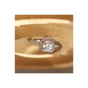 Amberliss Rings collection