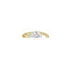 Amberliss single product visual LBR21
