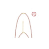 Amberliss Collier perle d'eau douce PSN10 image 1